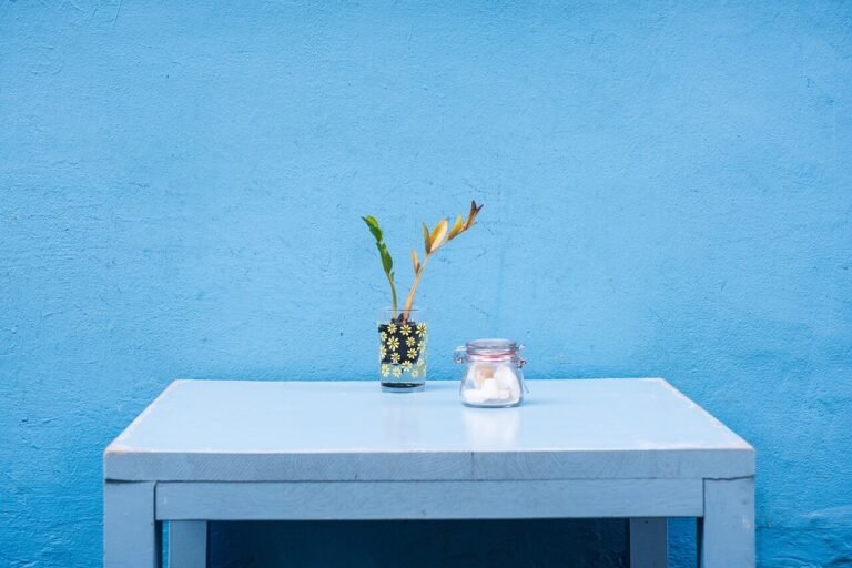 plant on Table and wall