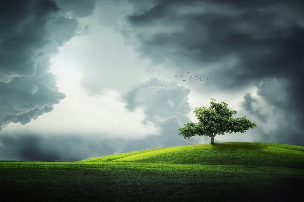 A Tree in Green Field and Dark Clouds Wallpaper