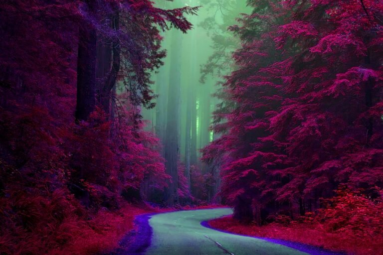 Pink Forest Nature Path